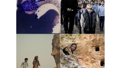 ۴ مستند ایرانی به ایدفا دعوت شدند