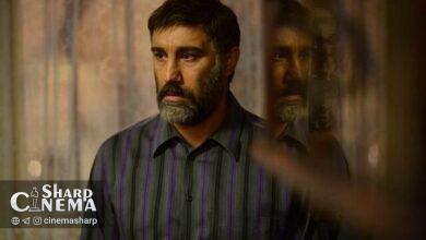 «عنکبوت» محسن تنابنده در پلتفرمهای فیلیمو و نماوا