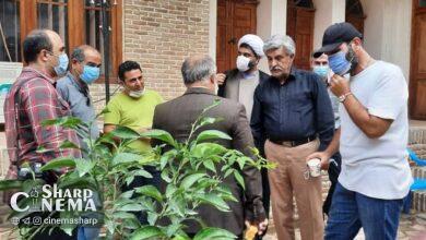 پخش مجموعه نمایشی جدید «سایههای رعنا»