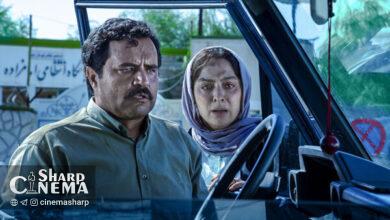 حمایت مجیدی و میرکریمی از فیلم «در آغوش درخت»