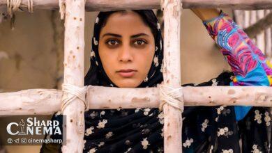 «پسران دریا» به ۳ جشنواره بینالمللی میرود