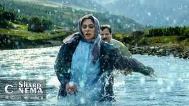 پایان فیلمبرداری فیلم «در آغوش درخت»