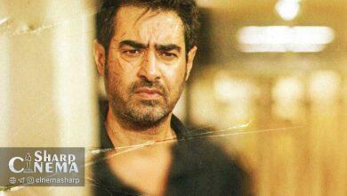 مشکل سریال «پوست شیر» حل شد