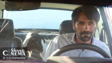 «دِرب» برنده بالون نقرهای جشنواره سه قاره نانت شد