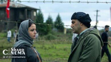 محسن تنابنده نامزد جوایز فیلم آسیا شد