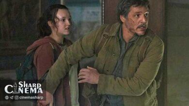 استقبال چشمگیر از سریال «آخرین بازمانده»