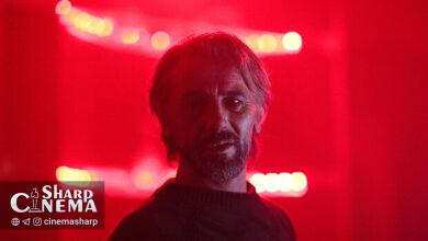 پروانه نمایش بینالمللی «قاتل و وحشی» صادر شد