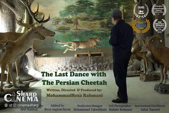 فیلم «آخرین رقص با یوزپلنگ ایرانی» جایزه گرفت