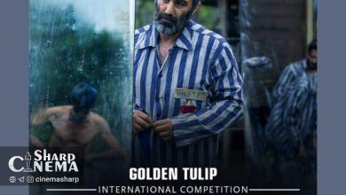 «جنگ جهانی سوم» بهترین فیلم جشنواره استانبول شد