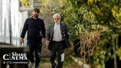 مهدی هاشمی با «یقه سفیدها» به سینما میآید