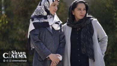 اکران فیلم «جوجه تیغی» از چهارشنبه ۲۴ آبان