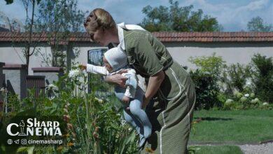 «منطقه مورد علاقه» فیلم منتخب منتقدان لسآنجلس شد