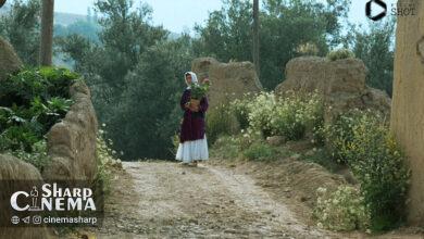 اکران نسخه مرمتشده «زیر درختان زیتون» کیارستمی