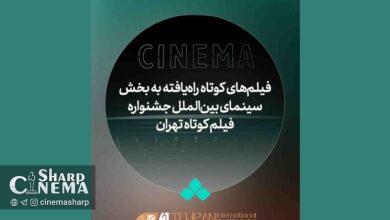 معرفی آثار بینالمللی چهلویکمین جشنواره فیلمکوتاه تهران در چهار بخش