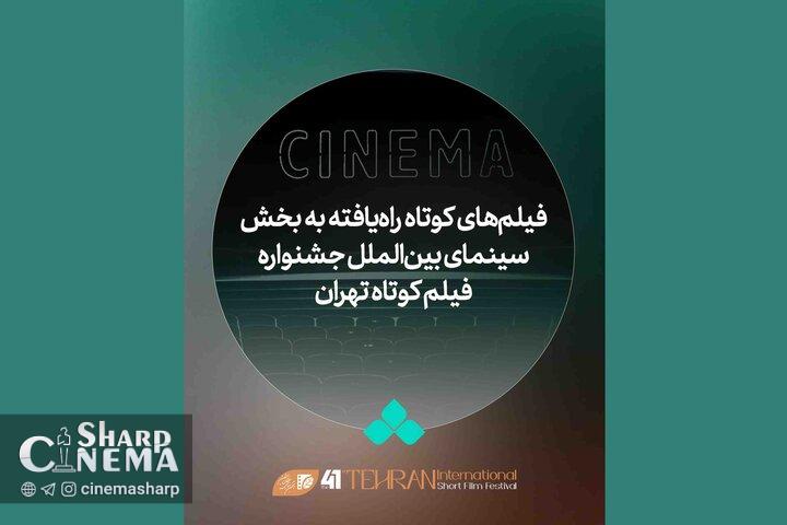 معرفی آثار بینالمللی چهلویکمین جشنواره فیلمکوتاه تهران در چهار بخش