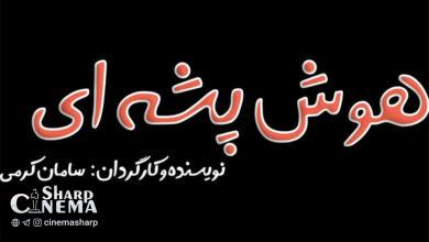 نمایش «هوش پشهای» دوباره روی صحنه میآید