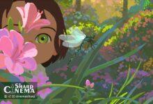 اکتساب انیمیشن Little Amélie توسط Gkids در آمریکای شمالی