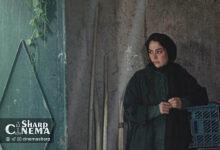 فیلم «در آغوش درخت» در مسکو ۲ جایزه گرفت