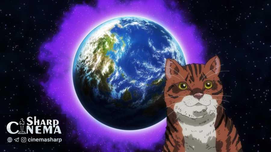 دوبله انگلیسی انیمه Nyaight of the Living Cat از ۲۰ جولای پخش میشود