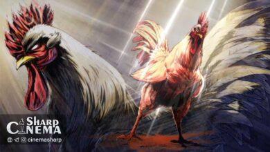 اعلام پنج صداپیشه جدید انیمه Rooster Fighter