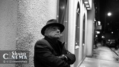 آری آستر تماشای مستند «آقای اسکورسیزی» را تجربهای آرامشبخش خواند