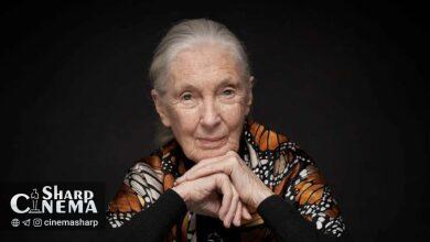 نتفلیکس با مستند «Famous Last Words» یاد جین گودال را گرامی میدارد