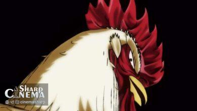 انیمه Rooster Fighter با تریلر دوبله انگلیسی و ویدیو آغازین معرفی شد