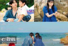 عشق تابستانی در Typhoon Family اوج می‌گیرد