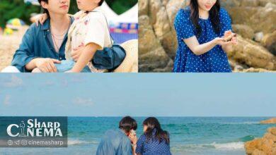 عشق تابستانی در Typhoon Family اوج میگیرد