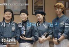 شروع ماجراجویی Chef of Antarctica با ستارههای محبوب کره