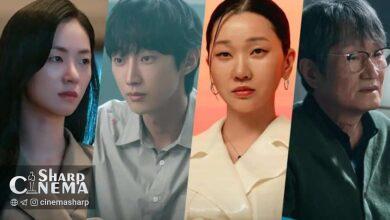 ۳ نکته کلیدی برای پایان «خانمِ ناشناس»