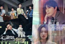 افزایش بیننده Pro Bono در رقابت داغ آخرهفته