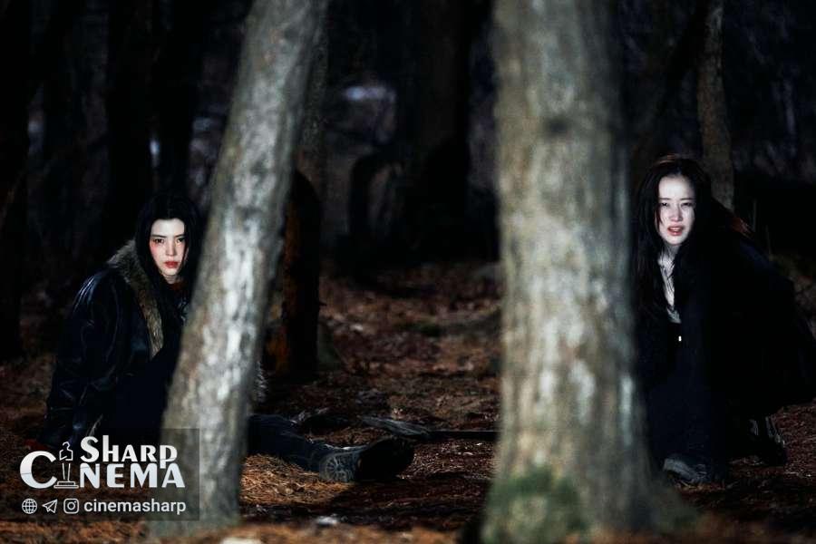 هان سو هی و جئون جونگ سئو در Project Y به دنبال پول خطرناک