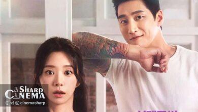 آن بو هیون و لی جو بین در سریال Spring Fever