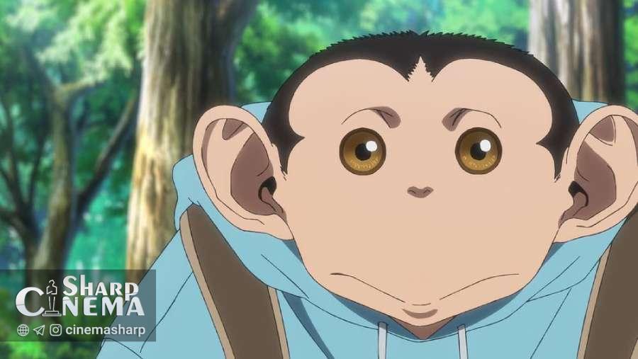 تاریخ پخش و بازیگران جدید انیمه The Darwin Incident اعلام شد