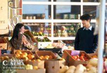 نزدیکی کیم سون هو و گو یون جونگ در سریال آیا می‌توان این عشق را ترجمه کرد