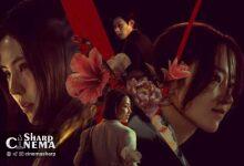 ۳ دلیل برای هیجان‌انگیز بودن فیلم Project Y