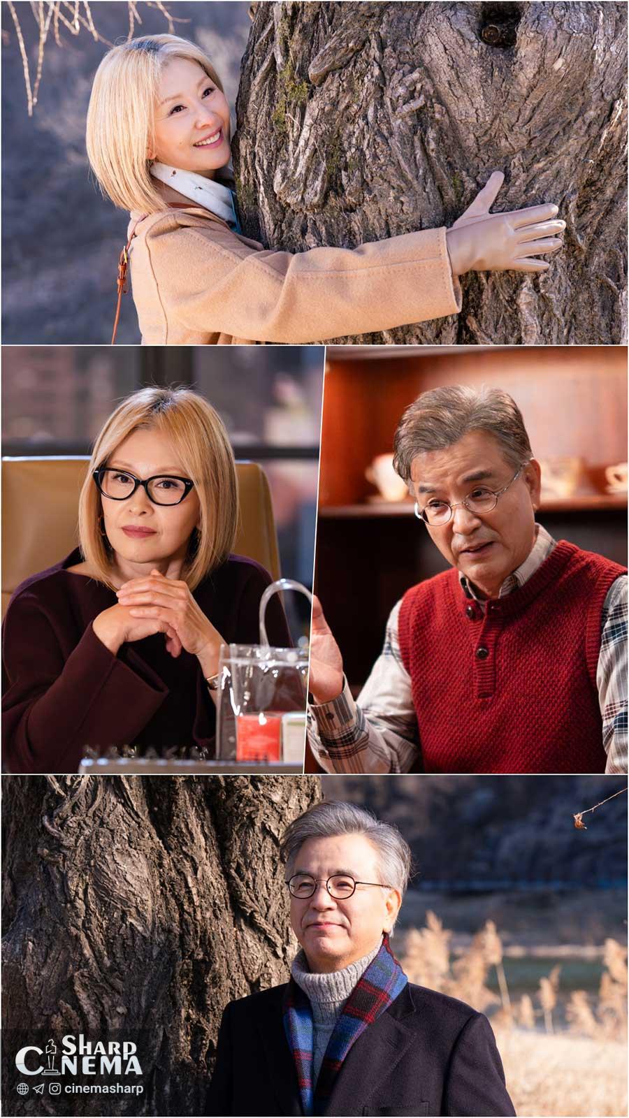 لی می سوک و کانگ سوک وو عشق دیرینه خود را بازمی‌یابند