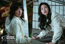 پارک شین هه جان در Undercover Miss Hong دیگران را نجات می‌دهد