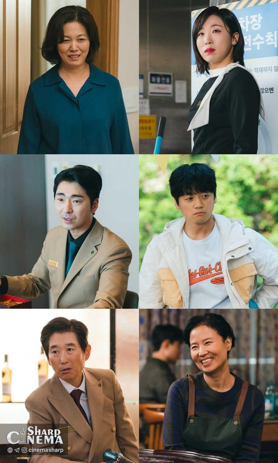 حمایت و تنش‌های جانبی در The Practical Guide to Love