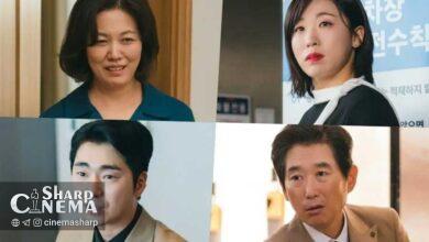 حمایت و تنش‌های جانبی در The Practical Guide to Love