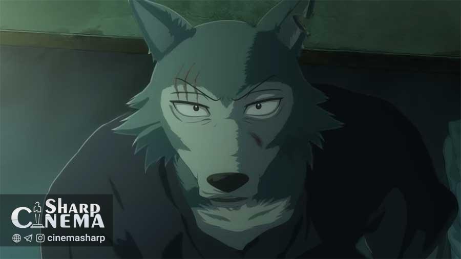 قسمت دوم از فصل پایانی انیمه BEASTARS با تاریخ انتشار رسمی