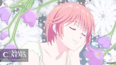 انیمه Hana-Kimi دومین تصویر کلیدی و سه بازیگر جدید را معرفی کرد