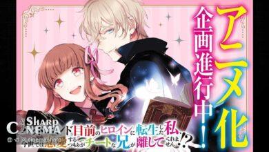 انیمه قهرمانه در آستانه پایان بد ساخته می‌شود