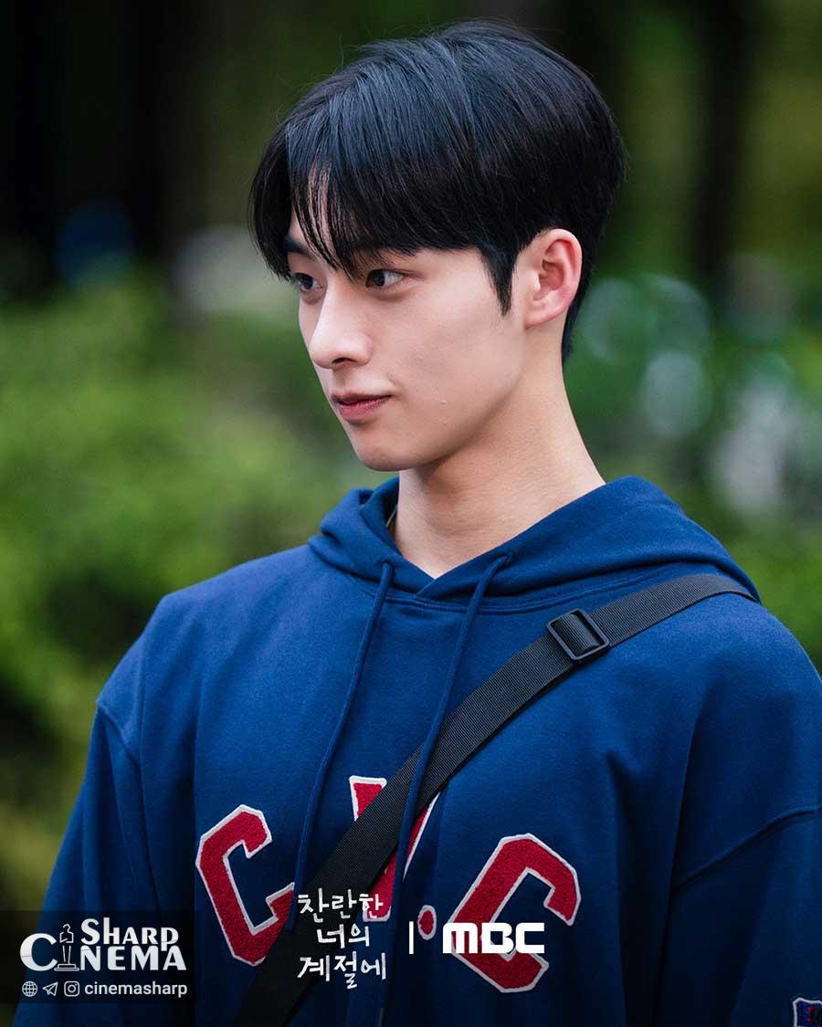 عشق دبیرستانی در سریال در فصل درخشان تو با زوج جوان