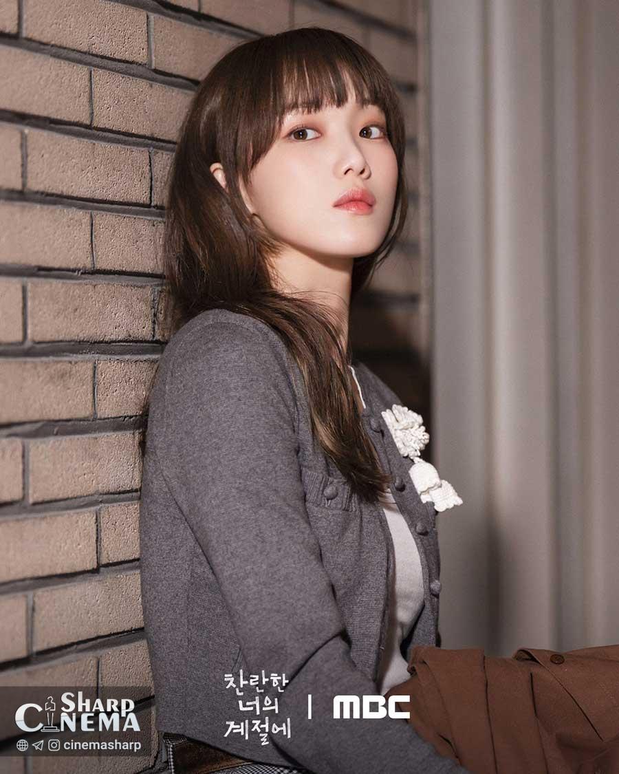 لی سونگ کیونگ و چه جونگ هیوپ در سریال In Your Radiant Season