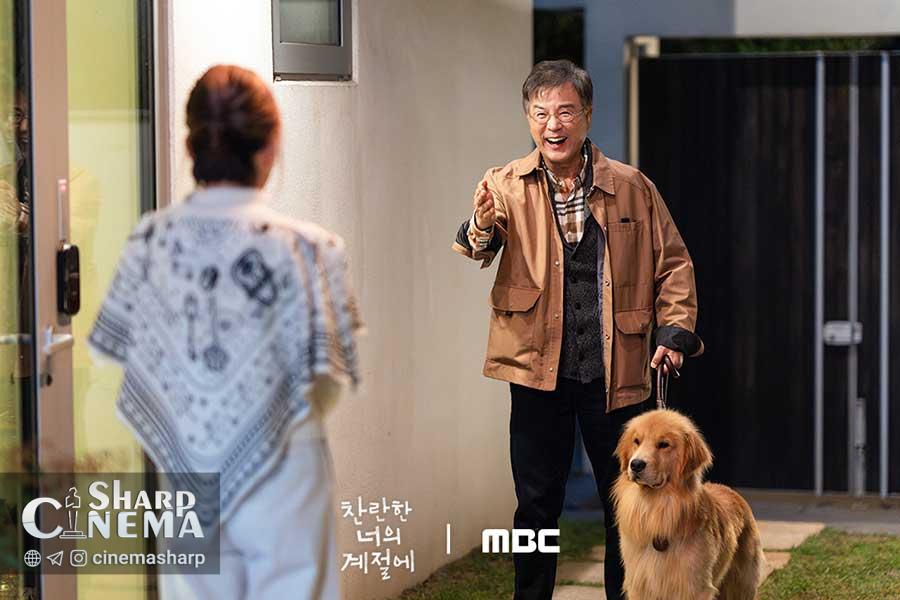 سریال In Your Radiant Season و روایت عشق در نسل‌ها