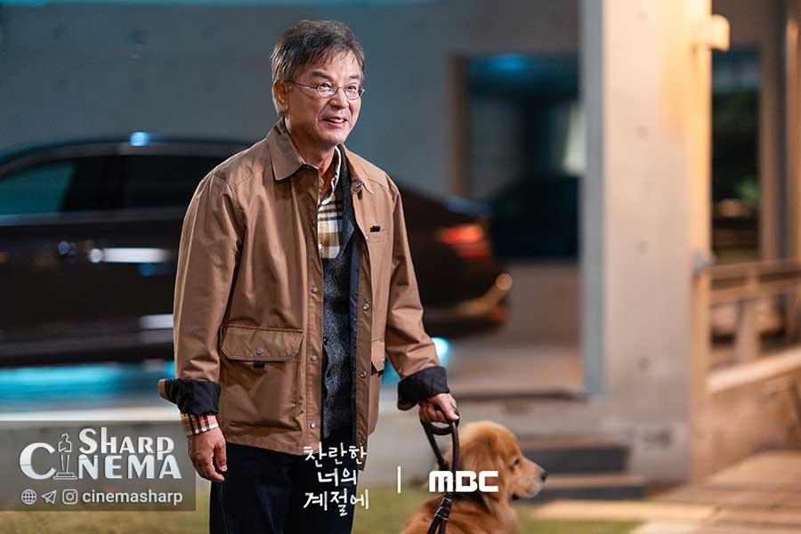 سریال In Your Radiant Season و روایت عشق در نسل‌ها