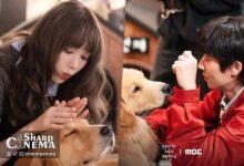 انرژی درخشان بازیگران سریال In Your Radiant Season