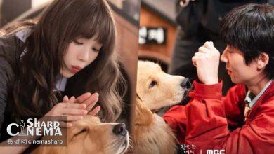 انرژی درخشان بازیگران سریال In Your Radiant Season